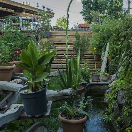 Hotel Roma Cave Göreme